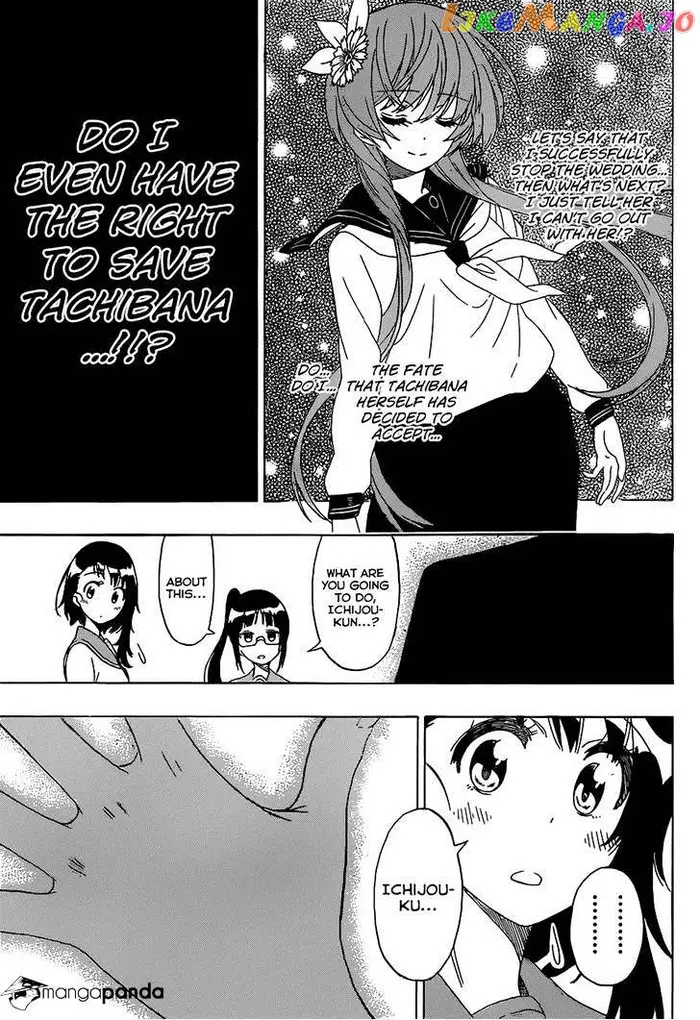 Nisekoi Chapter 182 image 13_optimized